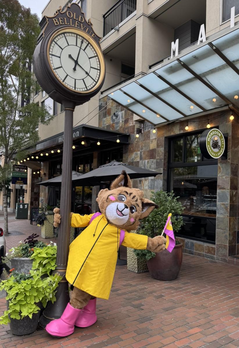 Belle The Bobcat
