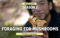Bellevue Eats - Mushroom Foraging with Bis on Main & Ascend