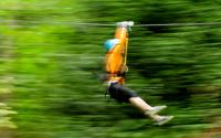 Zip Tour