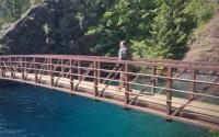 The Vue | Olympic National Park