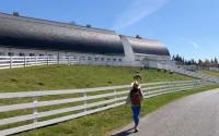 The Vue | Kelsey Creek Farm
