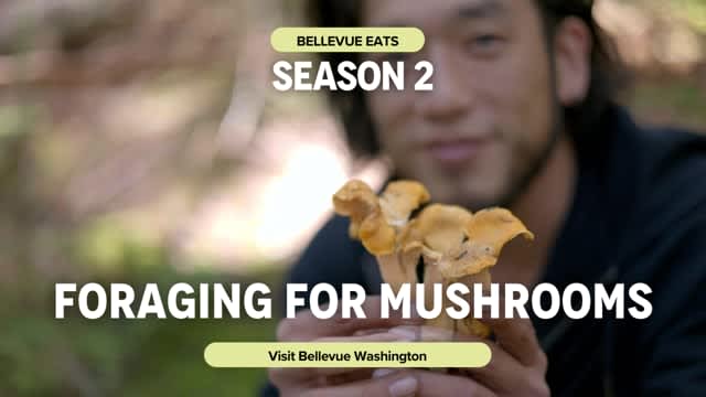 Bellevue Eats - Mushroom Foraging with Bis on Main & Ascend