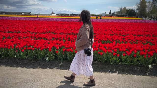 Skagit Valley Day Trip from Bellevue, WA | The Vue