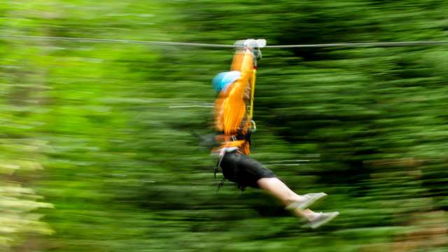 Zip Tour