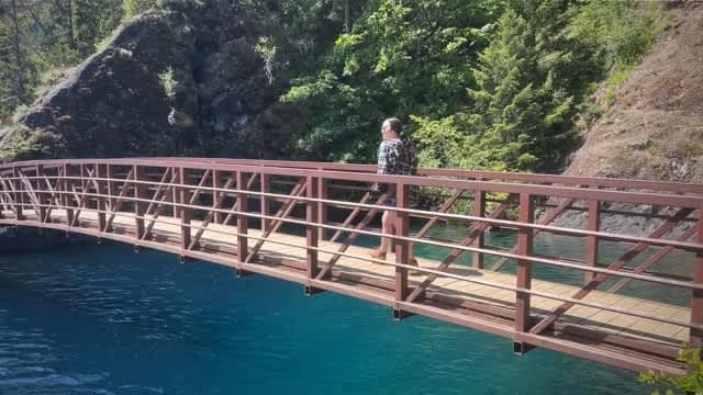 The Vue | Olympic National Park