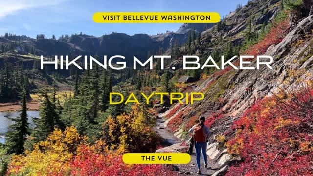 The Vue | Mt. Baker Day Trip