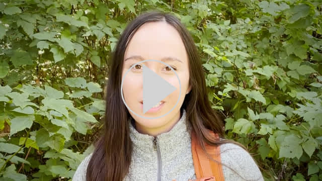 The Vue - Explore Snow Lake and  Snoqualmie Pass with Kara Patajo