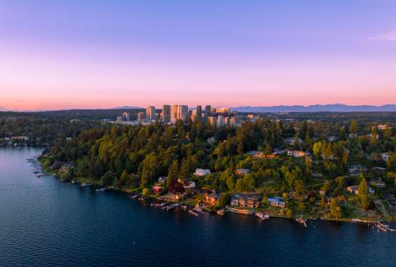 Bellevue Skyline