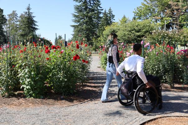 Wheelchair Accessible Bellevue Botanical Garden