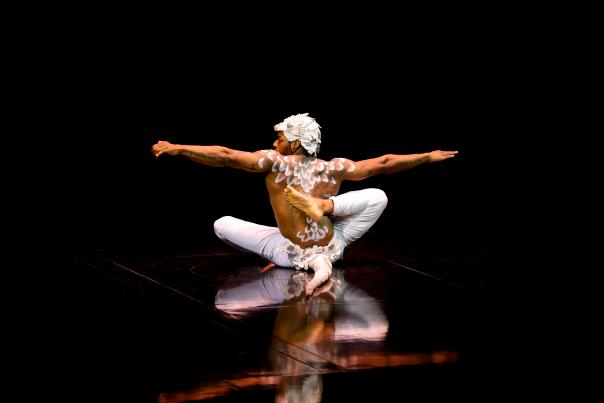 Cirque du Soleil ECHO