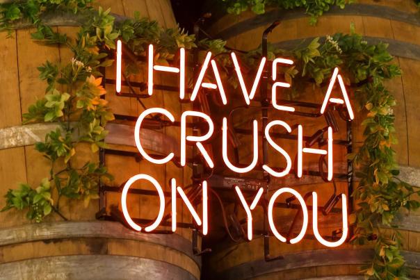 I have a crush on you sign