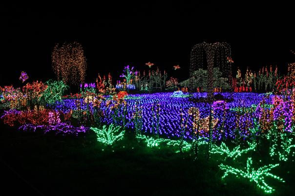 Garden d'Lights