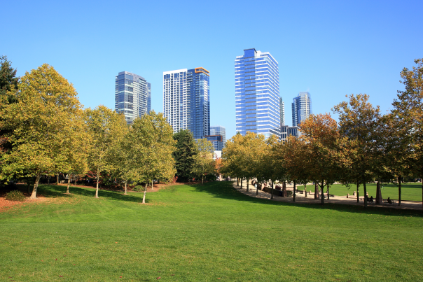 Outdoor Events In Bellevue