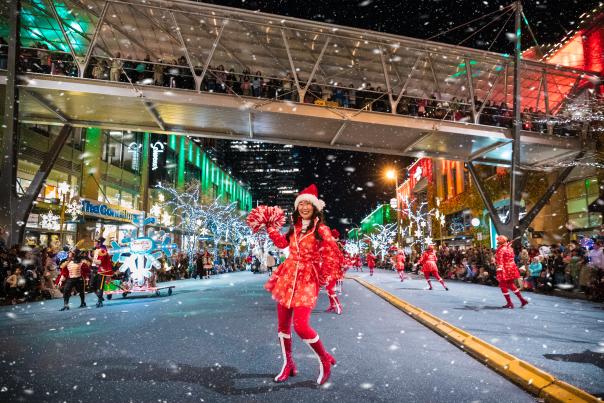 Snowflake Lane Chance Merchant