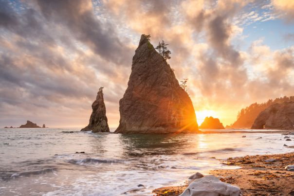 Olympic National Park