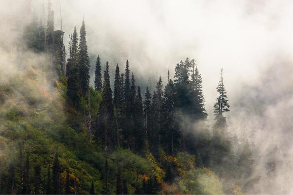 Snoqualmie Valley