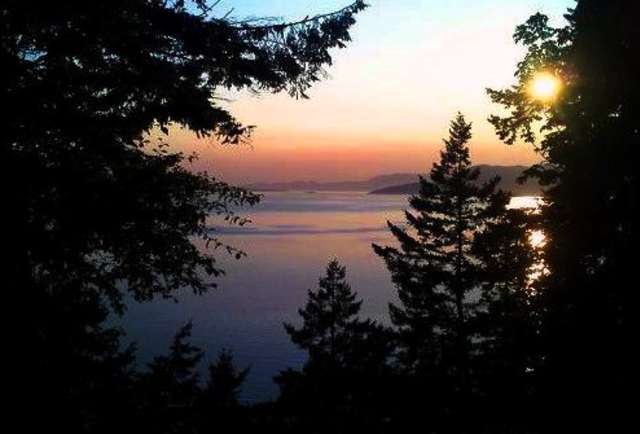 Chuckanut Drive