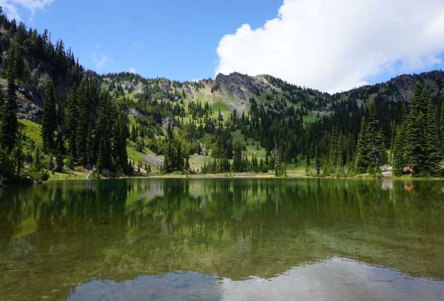 Chinook Pass