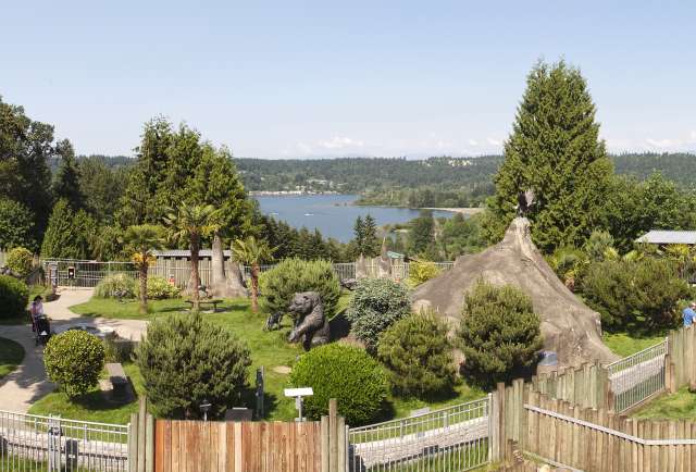 Cougar Mountain Zoo
