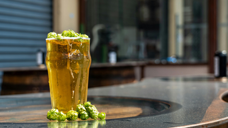 Fresh hops