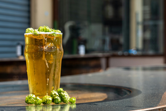 Fresh hops