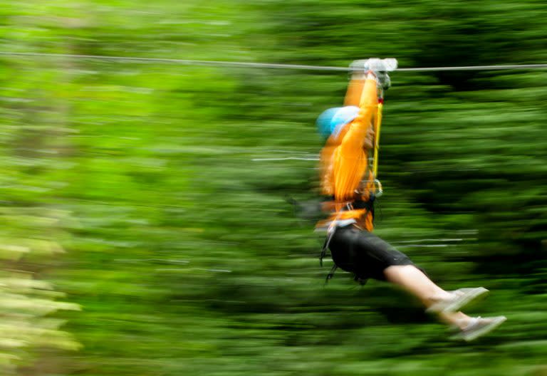 Zip Tour