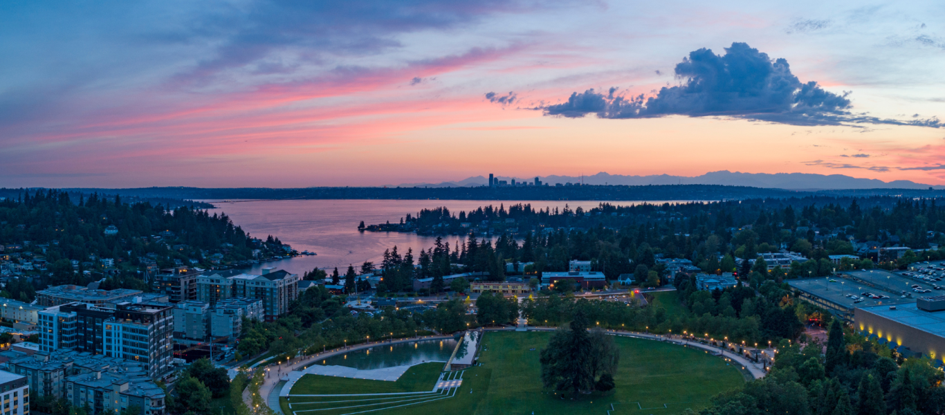 Bellevue Skyline