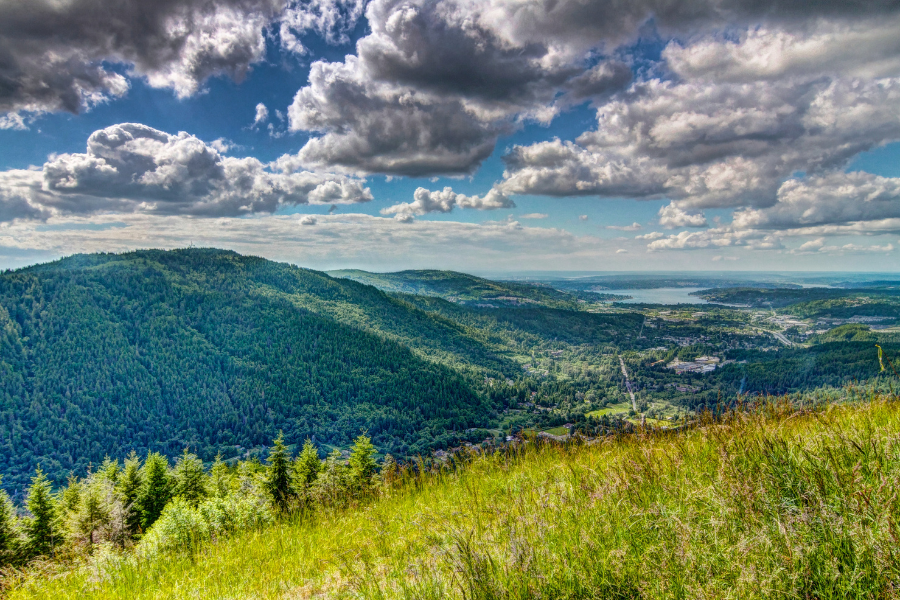 Summer Trails near Bellevue