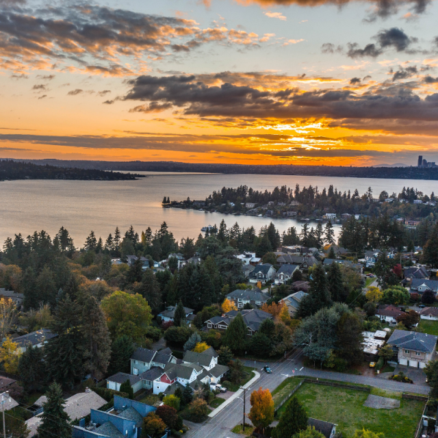 Bellevue City Guide