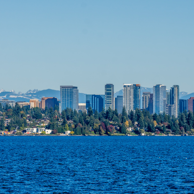 Bellevue skyline