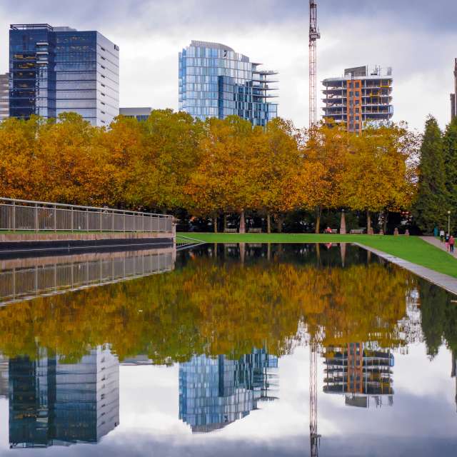 Bellevue Downtown Park Skyline and Pond
