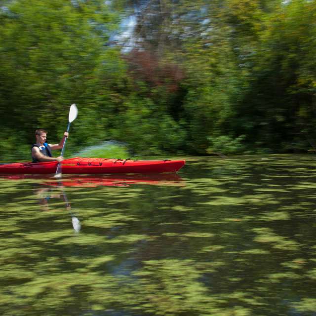 Kayaking on Mercer Slough