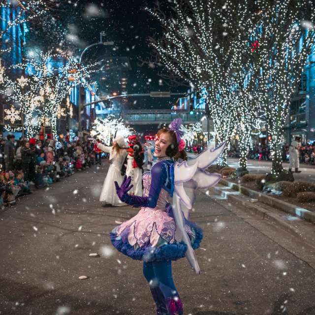 Snowflake Lane 2023