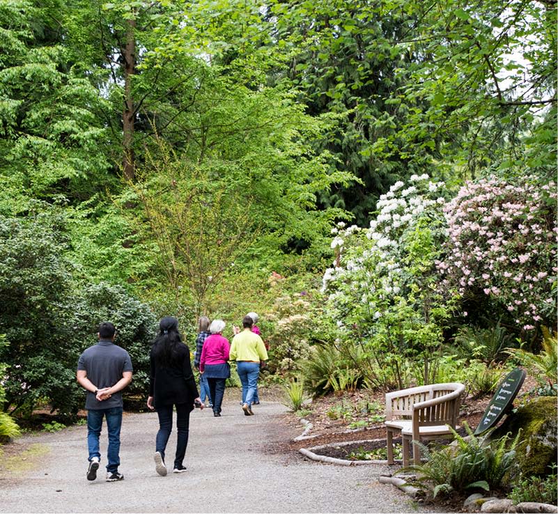 Bellevue Botanical Garden