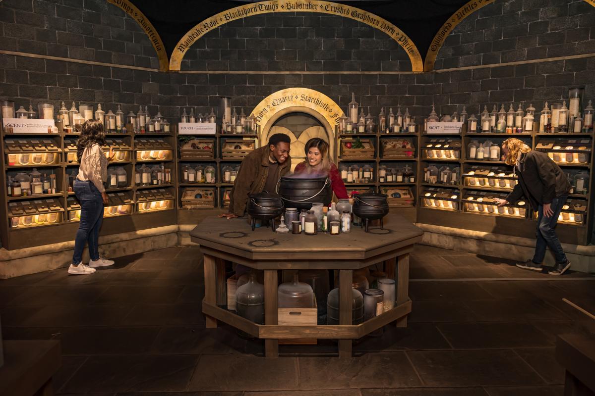 Official Harry Potter Magic at Play Merch