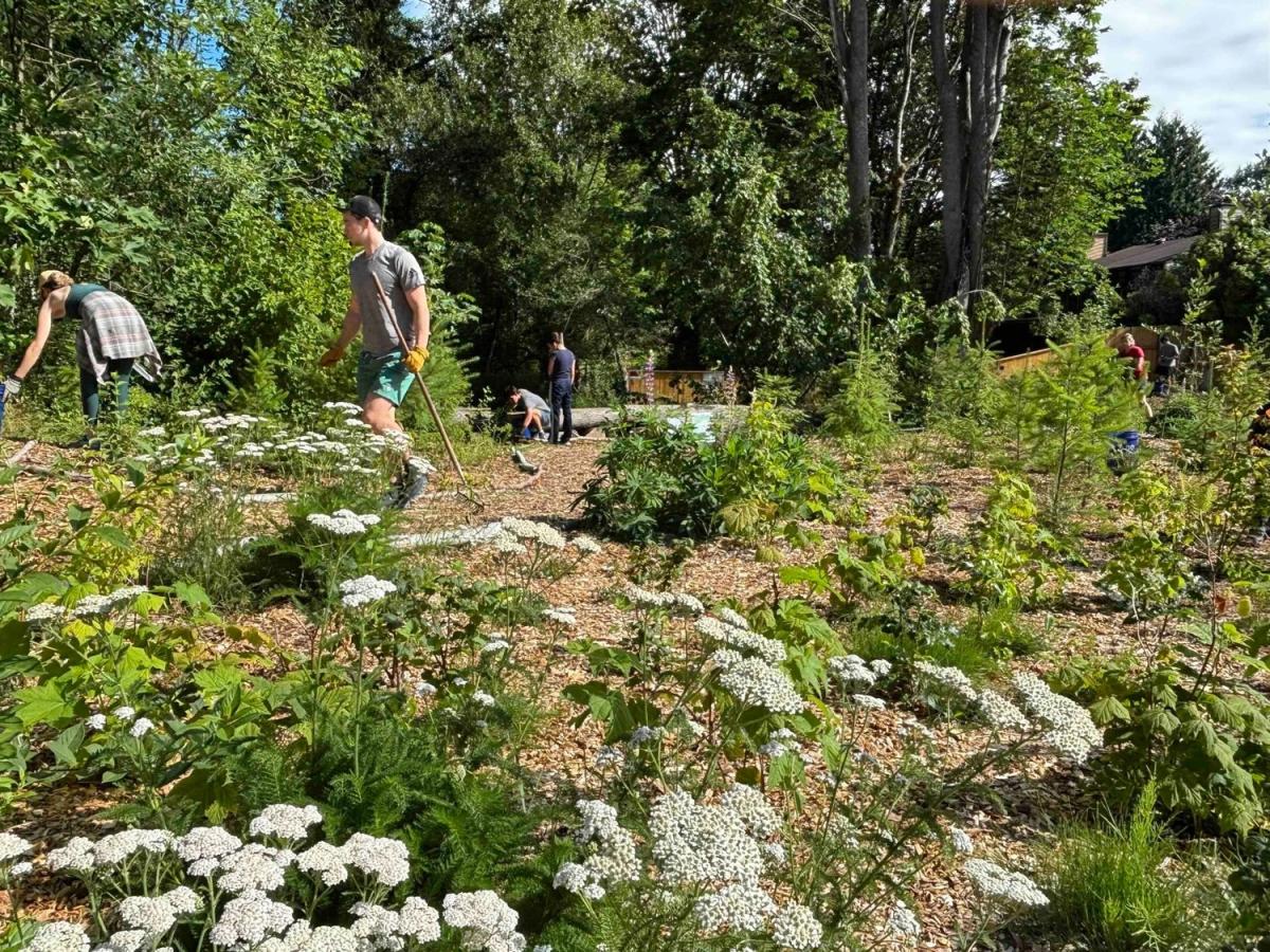 Beautiful Green Color Few People Issaquah Alps Bellevue Cares