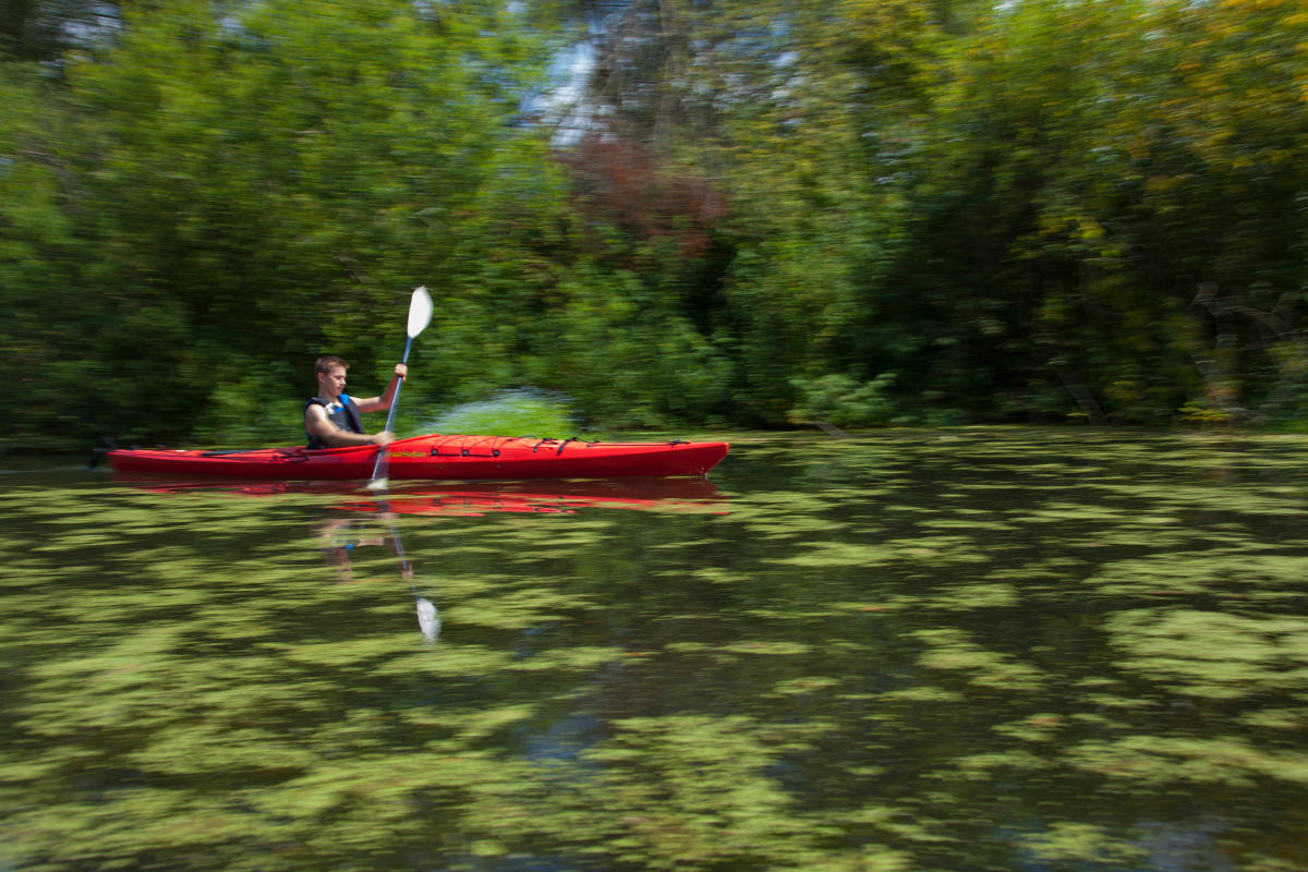 Things to Do in Bellevue | Festivals, Food, Outdoors