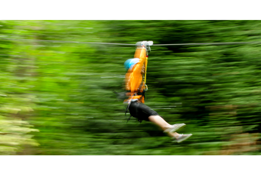 Zip Tour