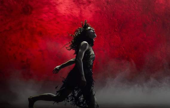 Black Swan