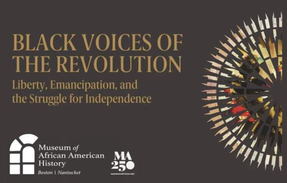 Black Voices of the Revolution