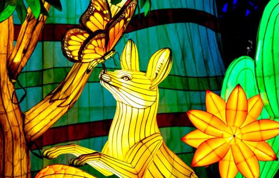 Boston Lights: A Lantern Experience