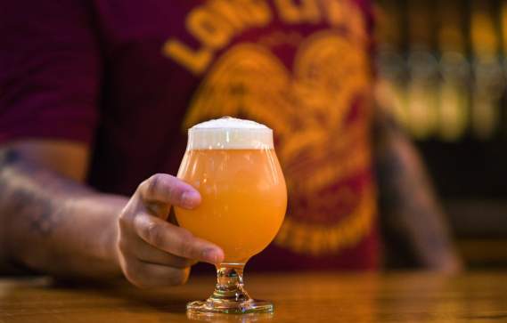 Long Live Roxbury Taproom & Brewery