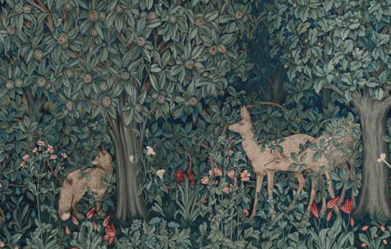 Framing Nature: Gardens and Imagination