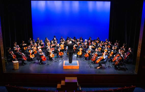 All-Cello Orchestra