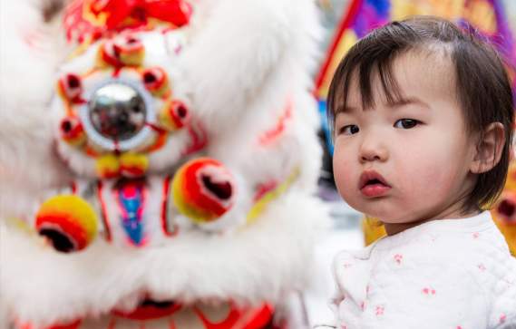 Lunar New Year Celebration at the MFA