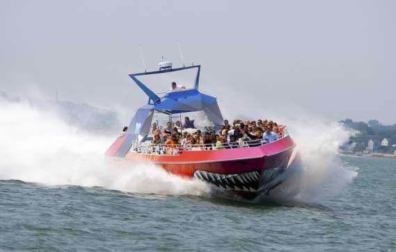 Codzilla with Boston Harbor Cruises