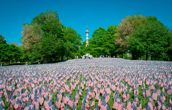 Memorial Day Flag Garden