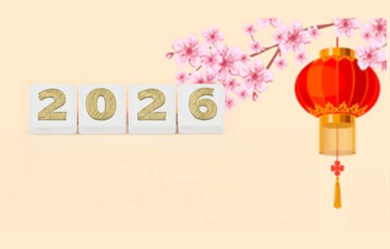 Lunar New Year Flower Market