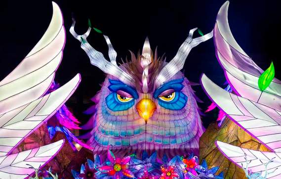 Boston Lights: A Lantern Experience