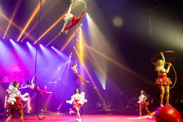 Big Apple Circus
